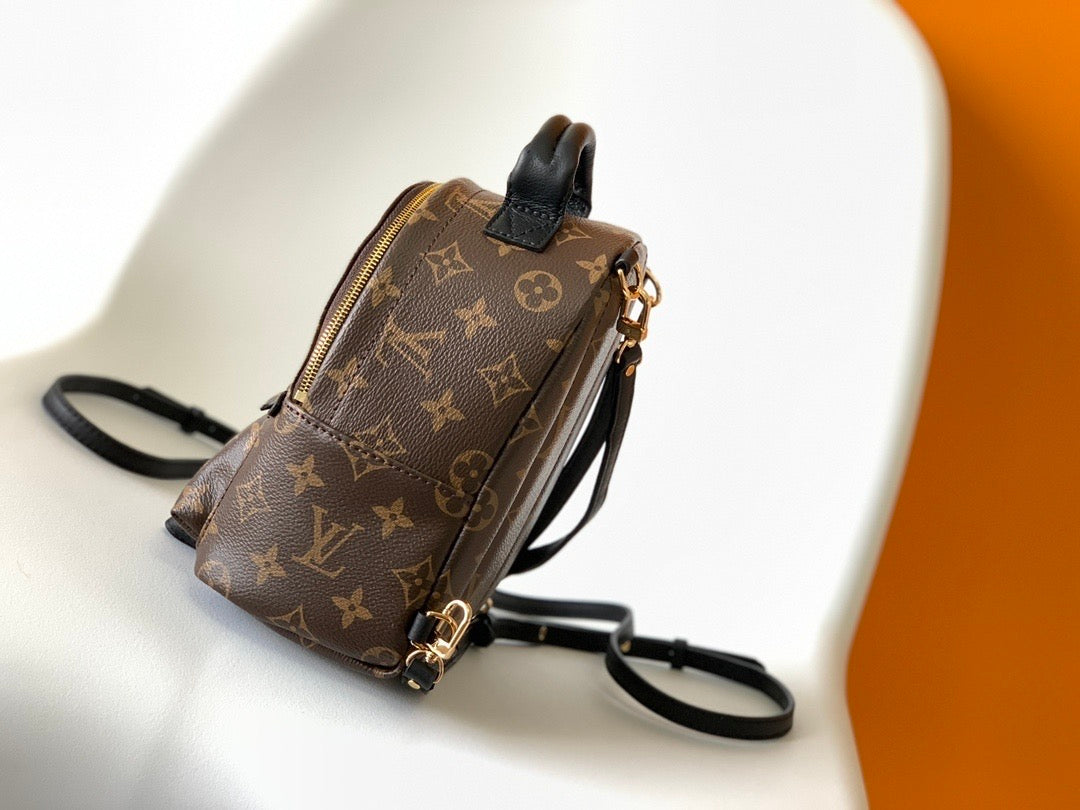 Louis Vuitton Backpack