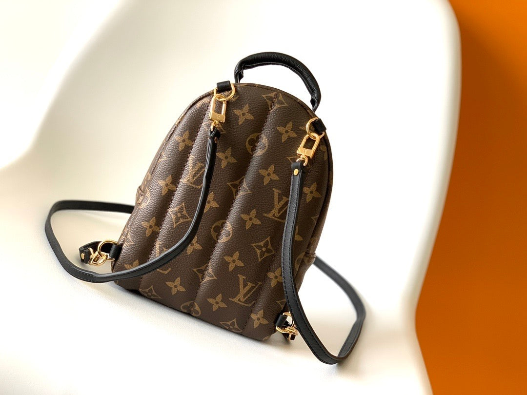 Louis Vuitton Backpack