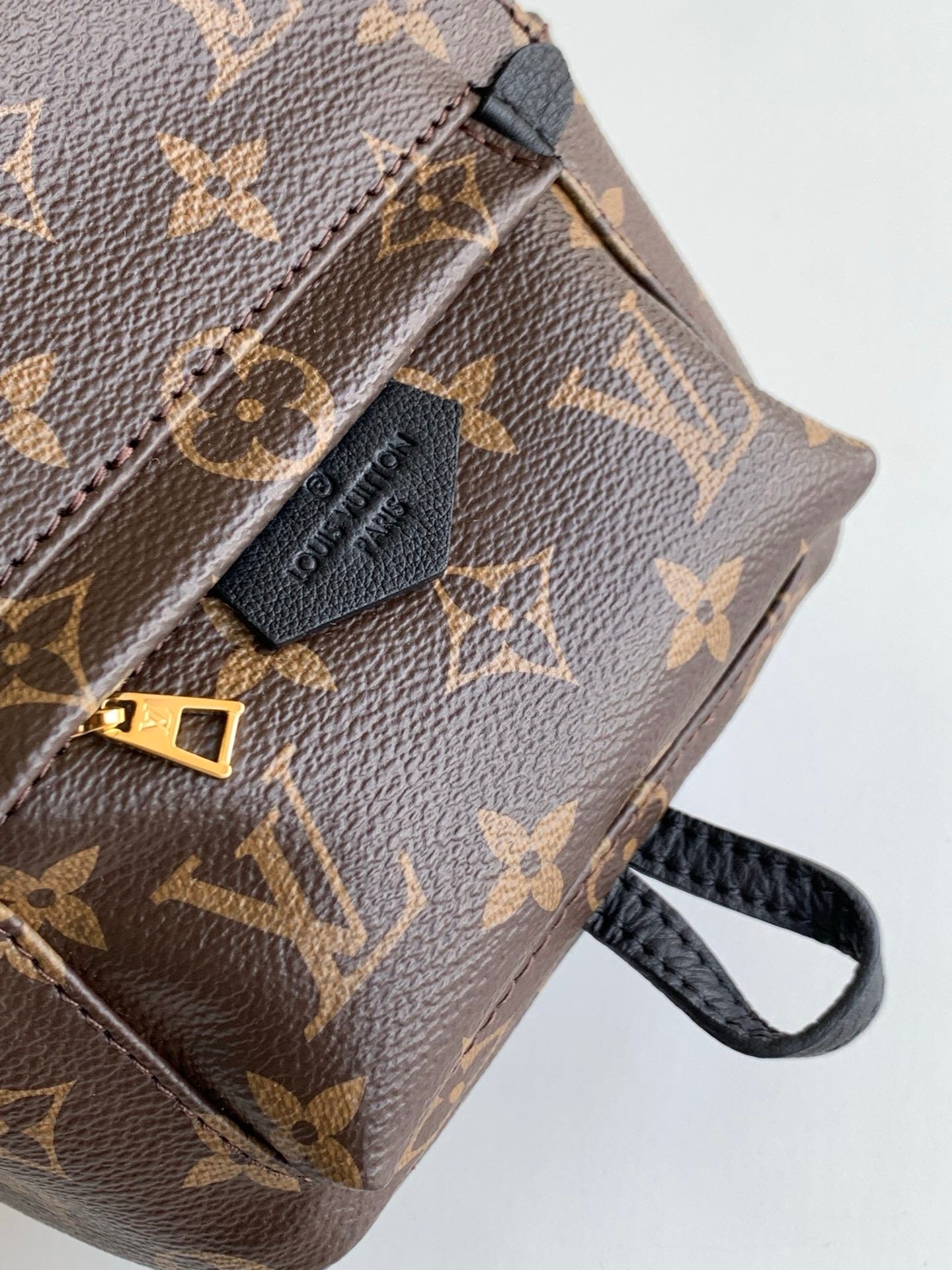Louis Vuitton Backpack