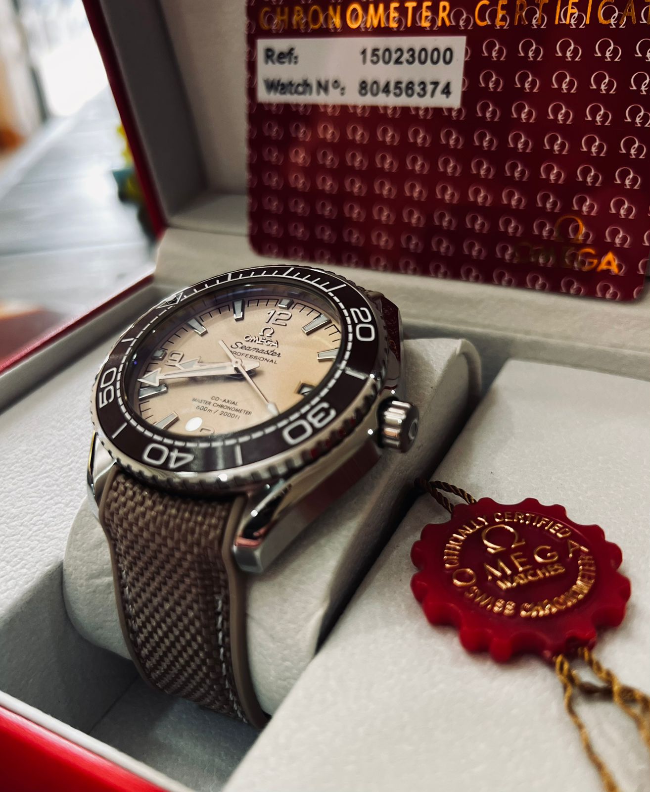 Omega Seamster Planet Ocean