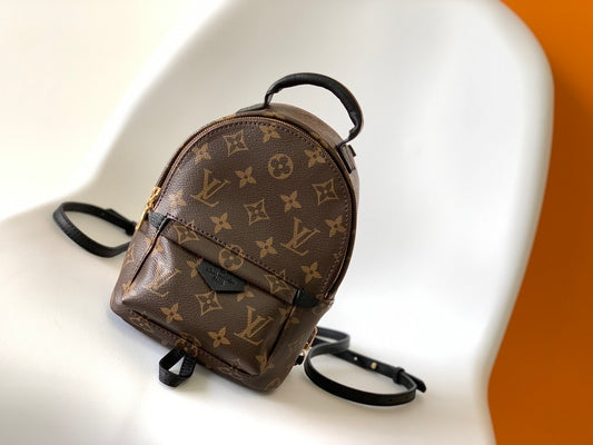 Louis Vuitton Backpack