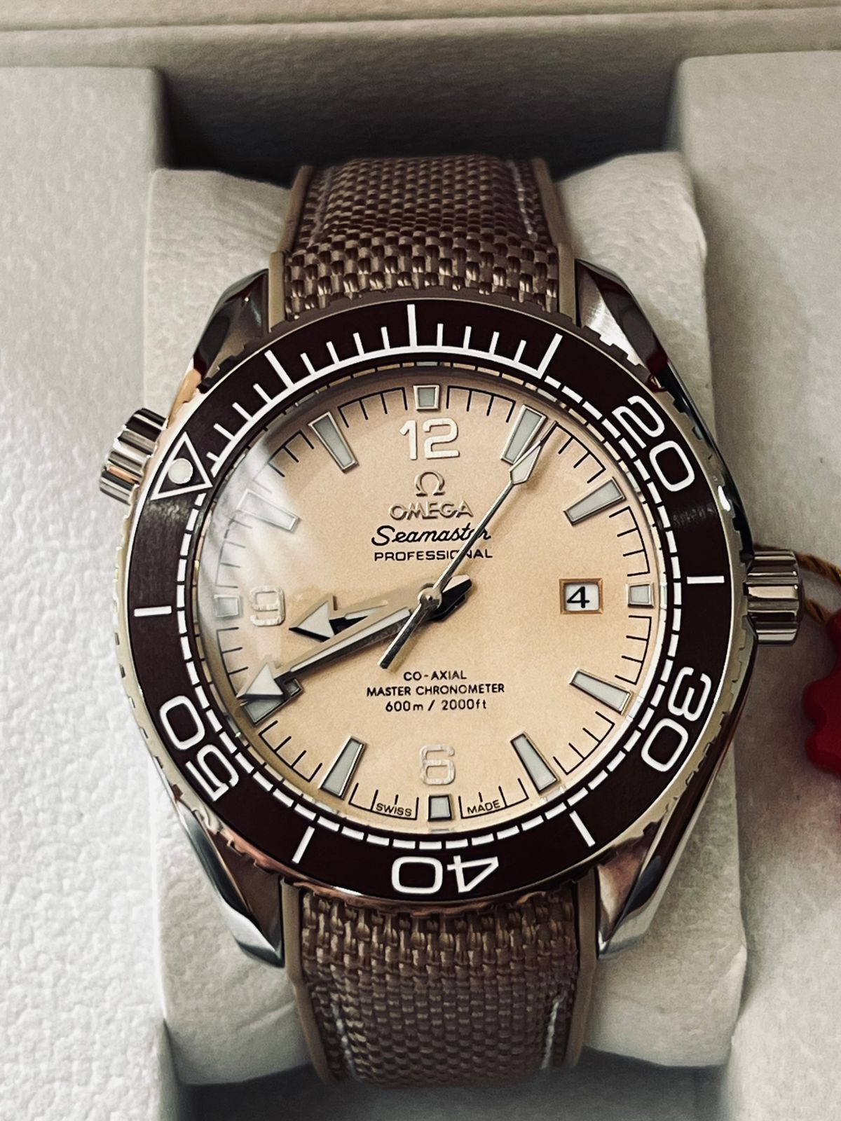 Omega Seamster Planet Ocean